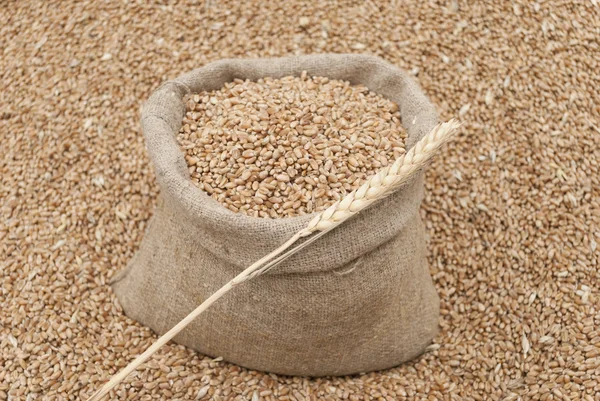 depositphotos_29015471-stock-photo-bag-of-wheat
